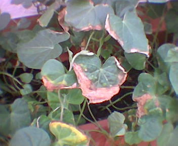 Imagen092.jpg