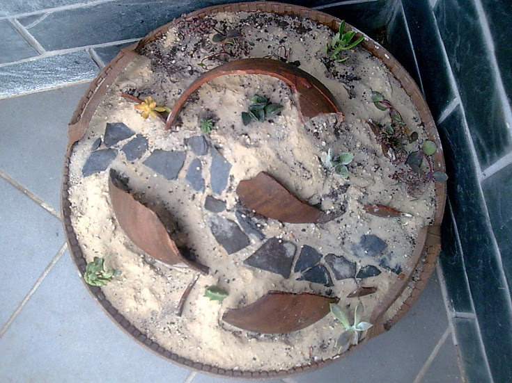 Imagen092.jpg