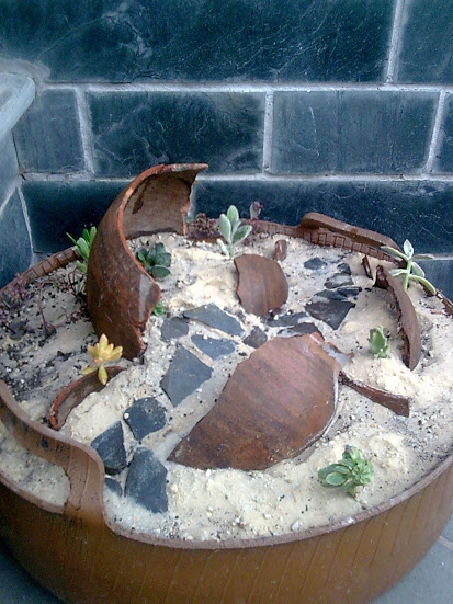 Imagen093.jpg
