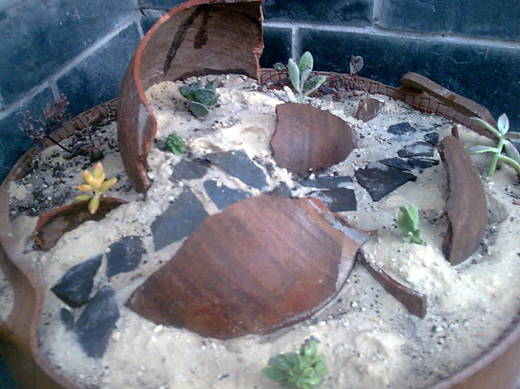 Imagen094.jpg