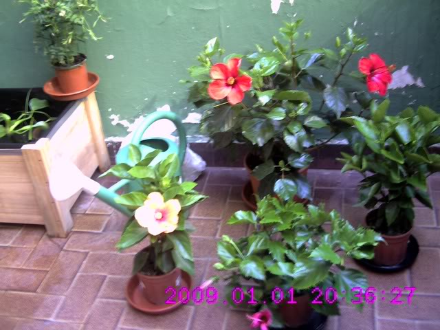 Imagen095.jpg