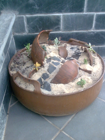 Imagen095.jpg