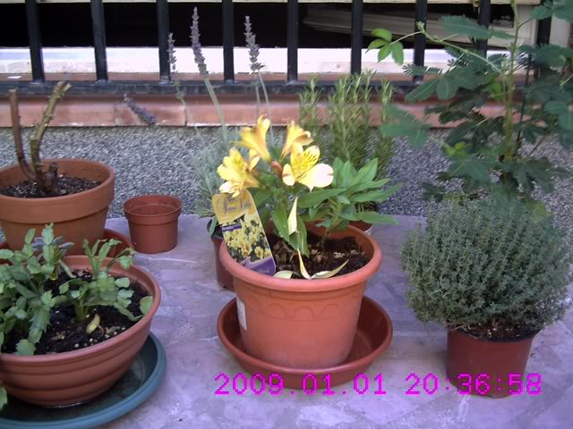 Imagen096.jpg