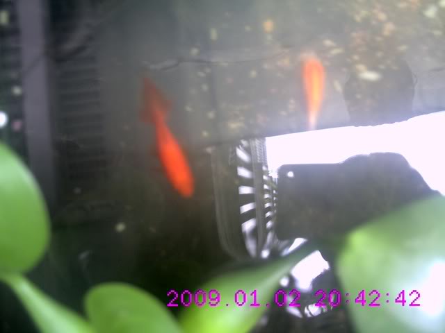 Imagen097.jpg