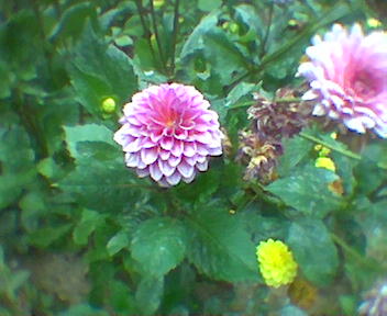 Imagen097.jpg