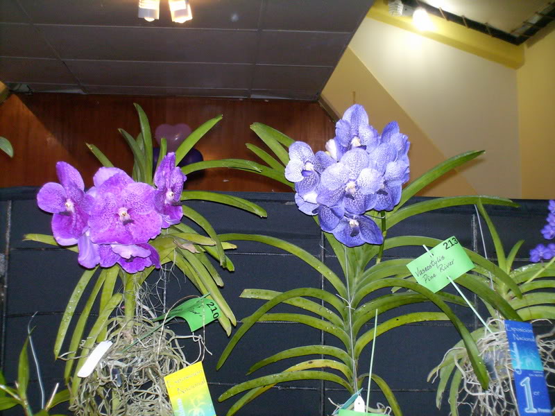 Imagen098.jpg