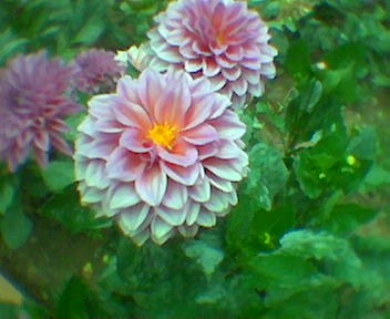 Imagen098.jpg