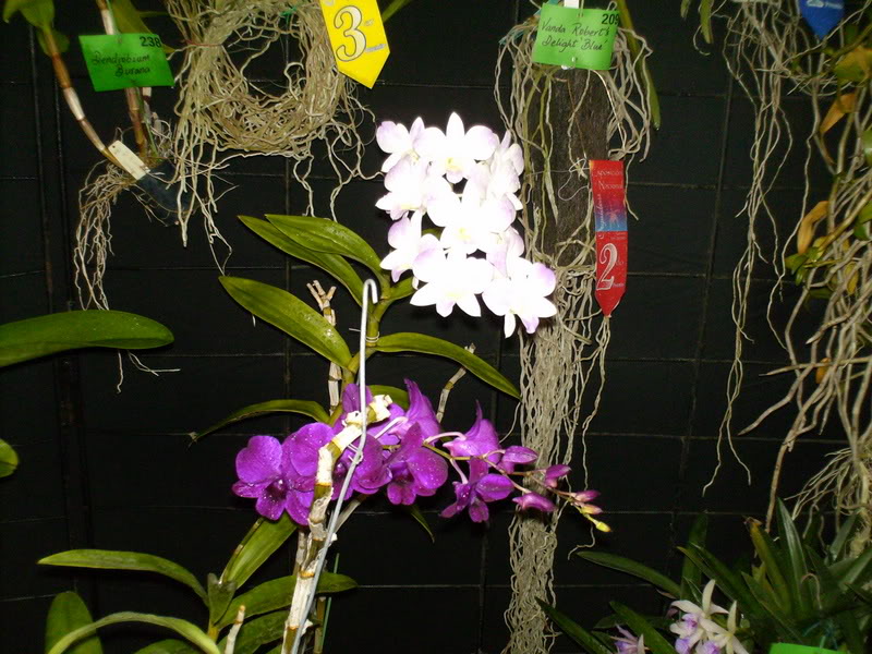 Imagen099.jpg