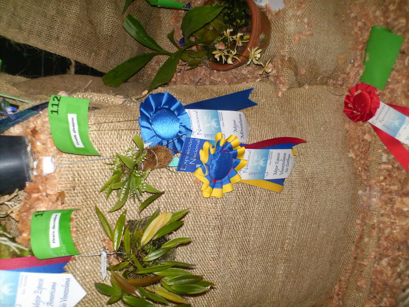 Imagen111.jpg