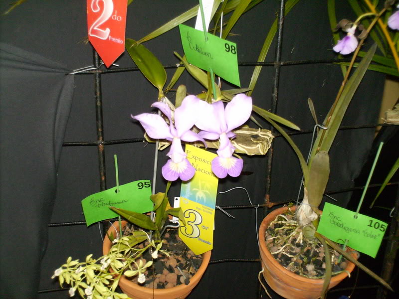 Imagen113.jpg