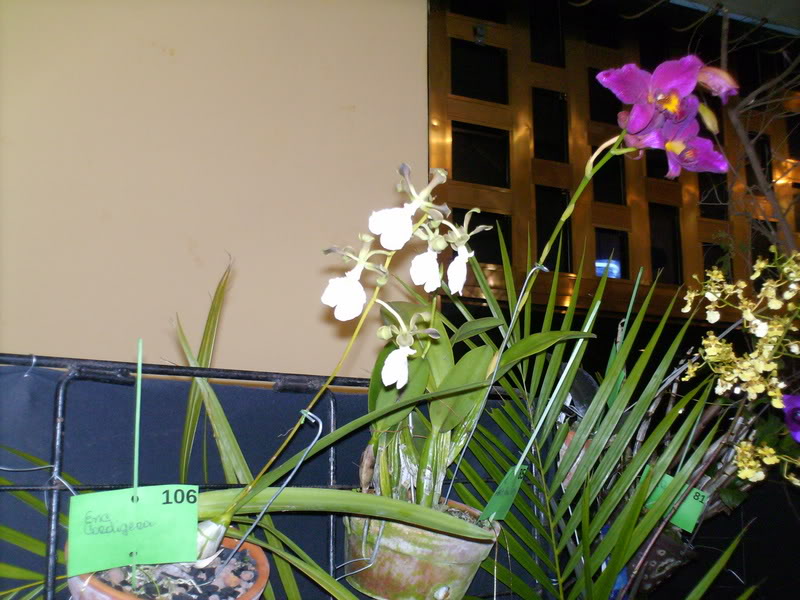 Imagen114.jpg