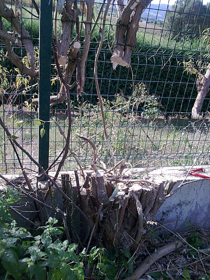 Imagen114.jpg