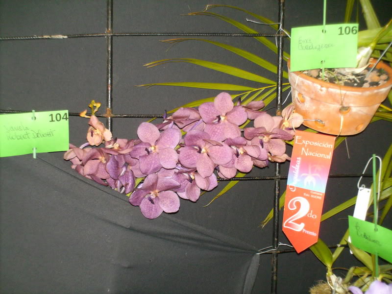 Imagen115.jpg