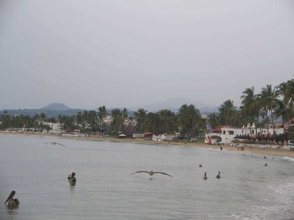 Imagen117.jpg