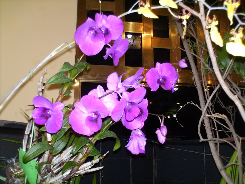 Imagen119.jpg