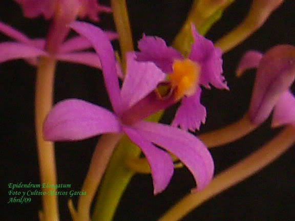 Imagen121123.jpg