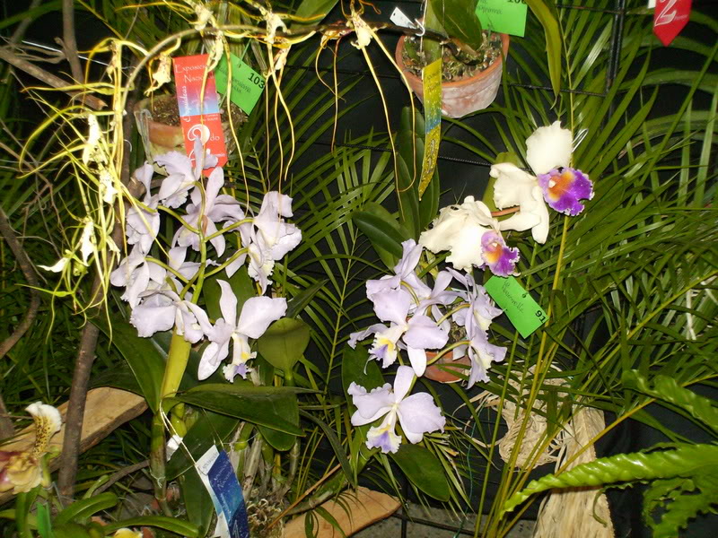 Imagen123.jpg