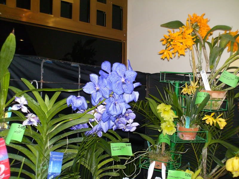 Imagen124.jpg