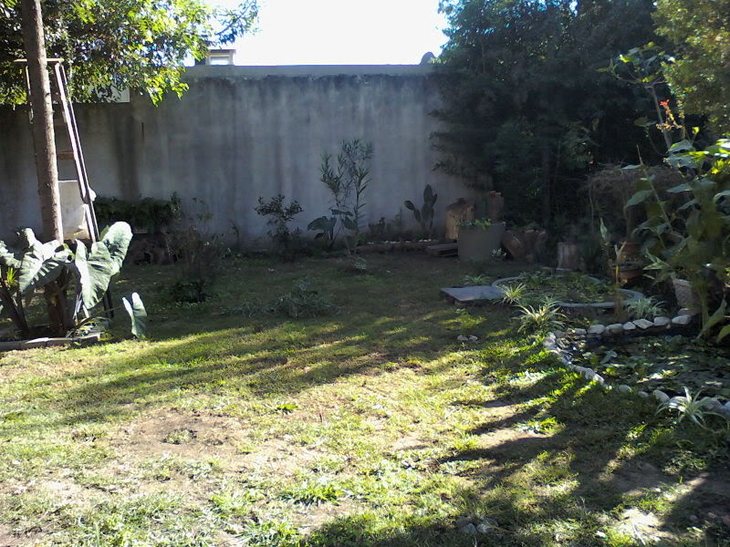Imagen131.jpg
