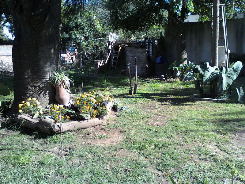 Imagen132.jpg