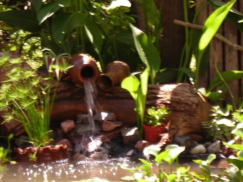 Imagen136.jpg