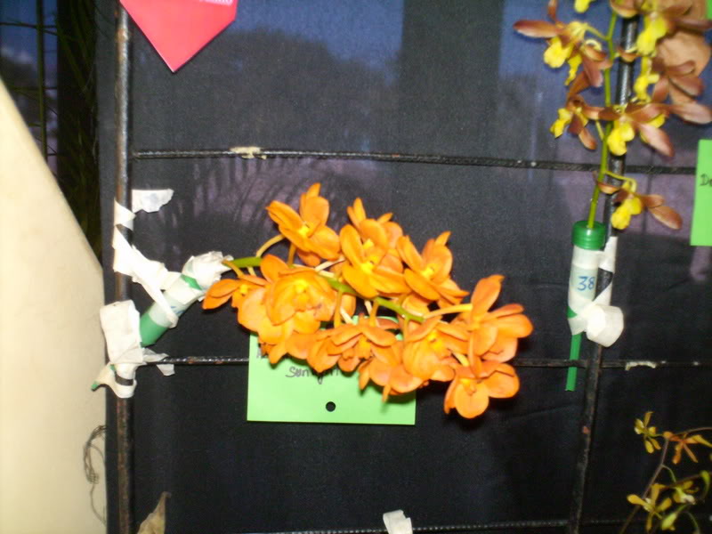Imagen139.jpg