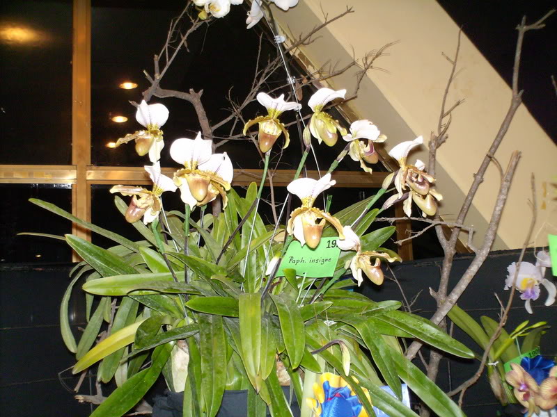 Imagen144.jpg