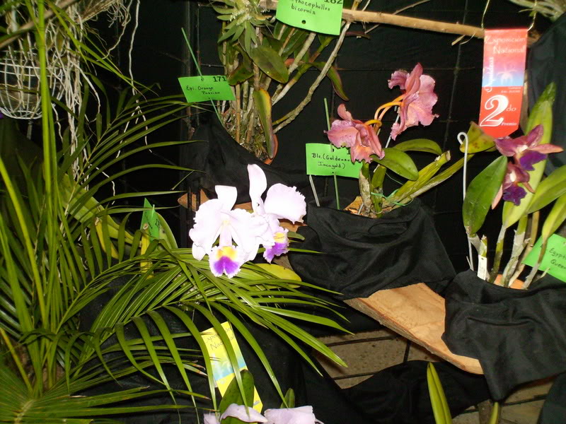 Imagen145.jpg