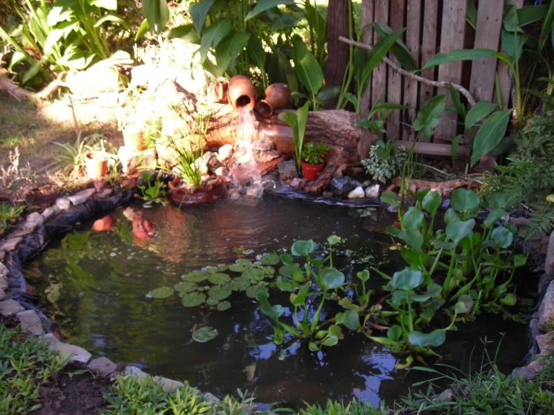 Imagen145.jpg