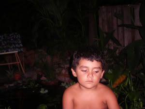 Imagen154-1.jpg