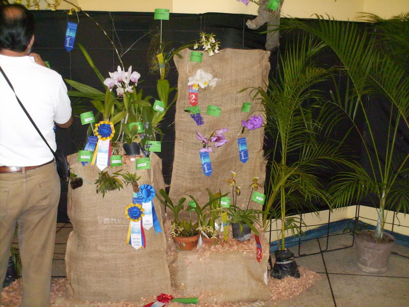 Imagen155.jpg
