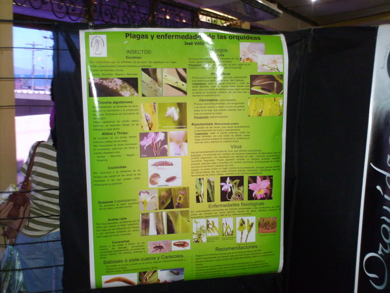 Imagen159-1.jpg