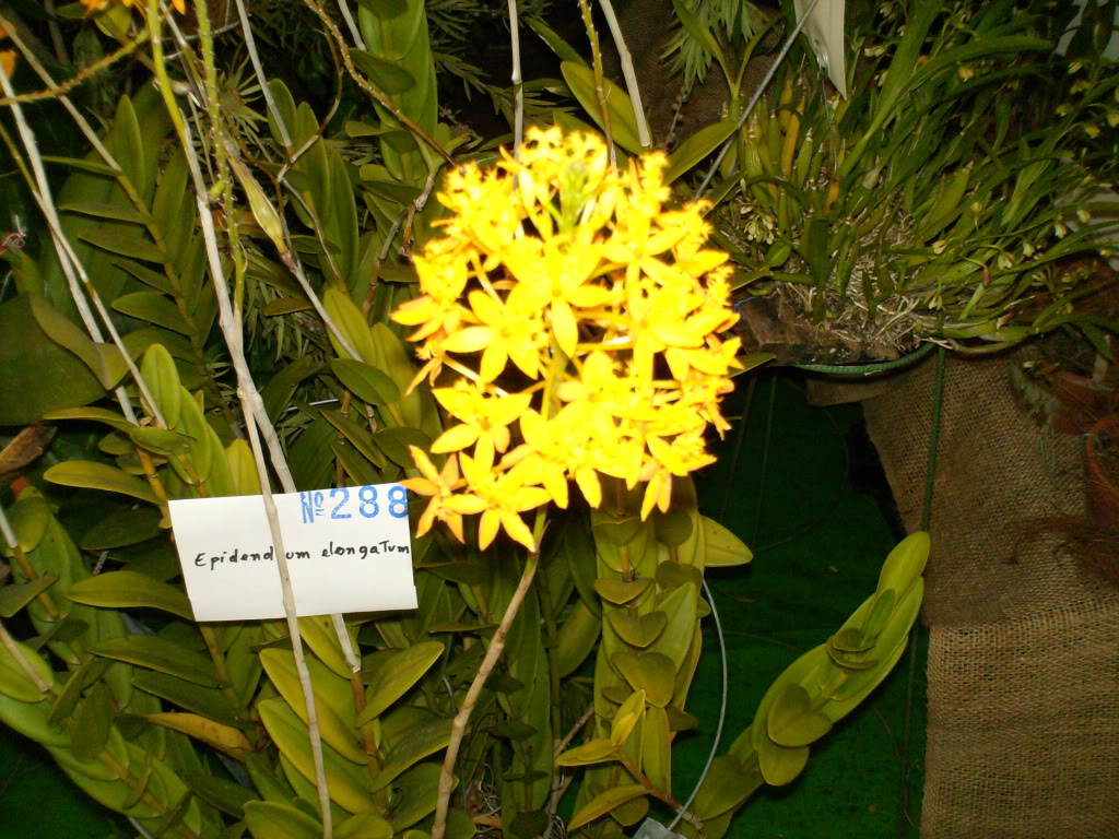 Imagen172.jpg