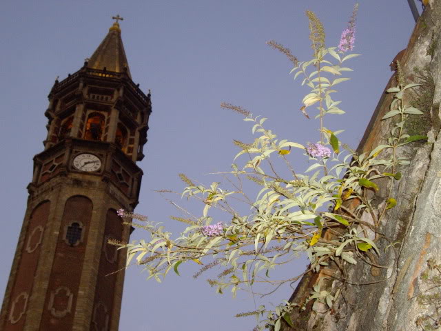 Imagen181.jpg