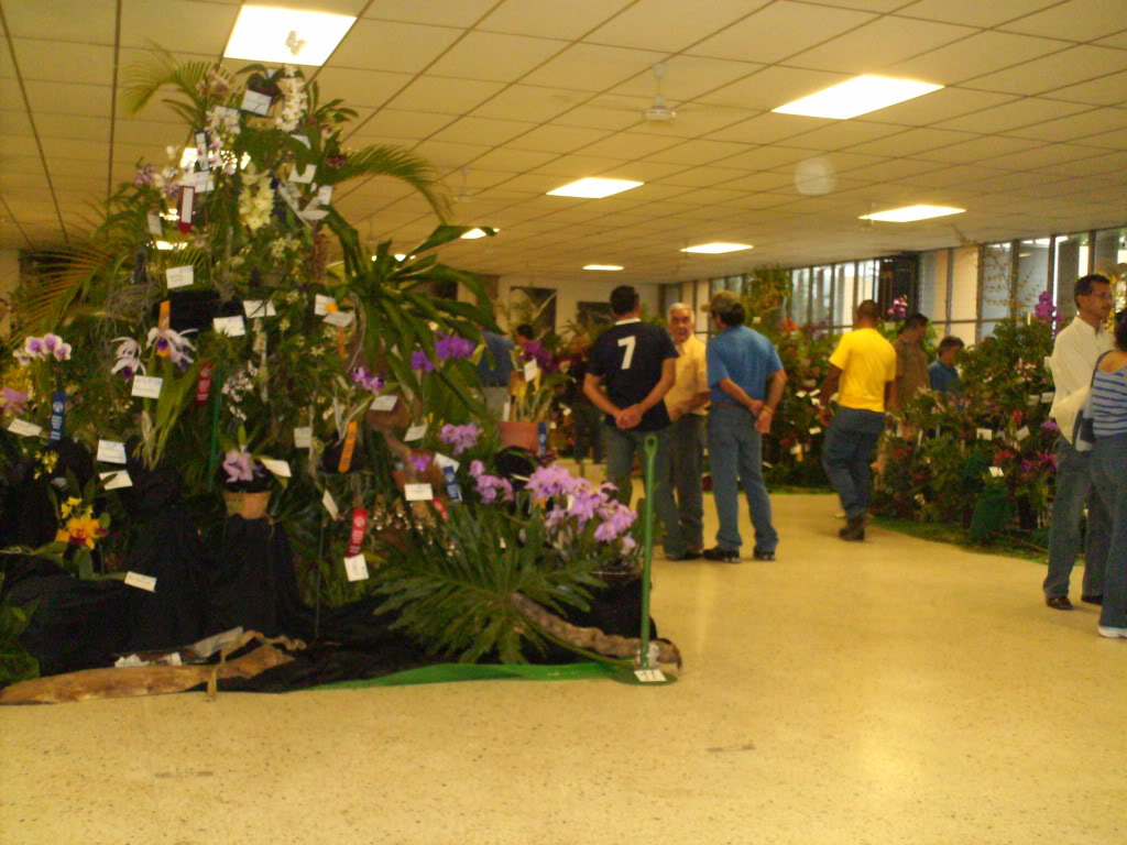 Imagen182.jpg