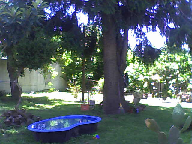 Imagen188-2.jpg
