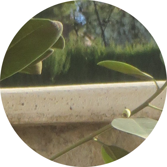 Imagen2.jpg