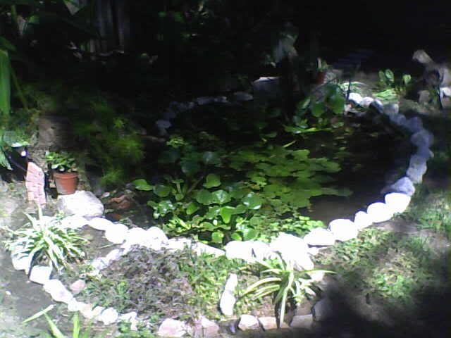 Imagen205.jpg
