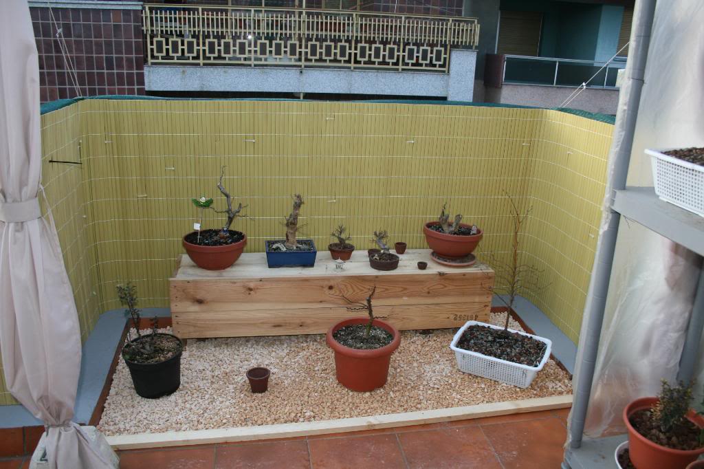 Imagen208.jpg