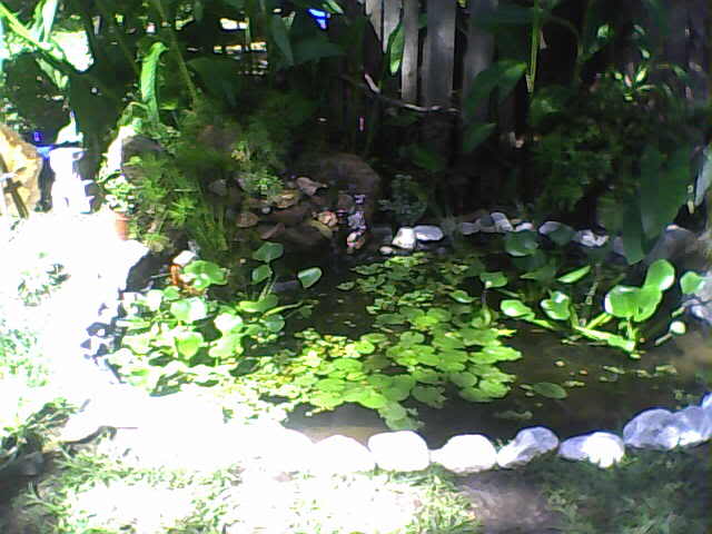 Imagen209.jpg