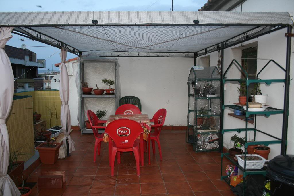 Imagen213.jpg