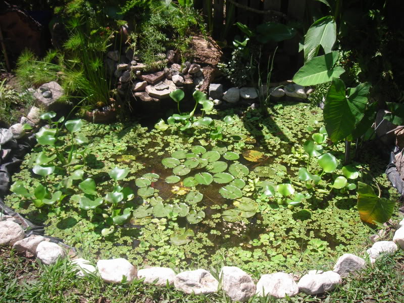Imagen227.jpg
