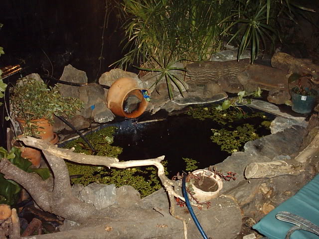 Imagen239.jpg