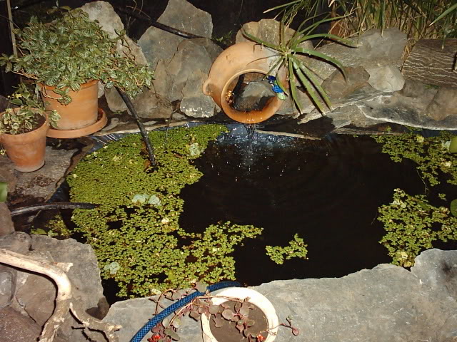 Imagen240.jpg