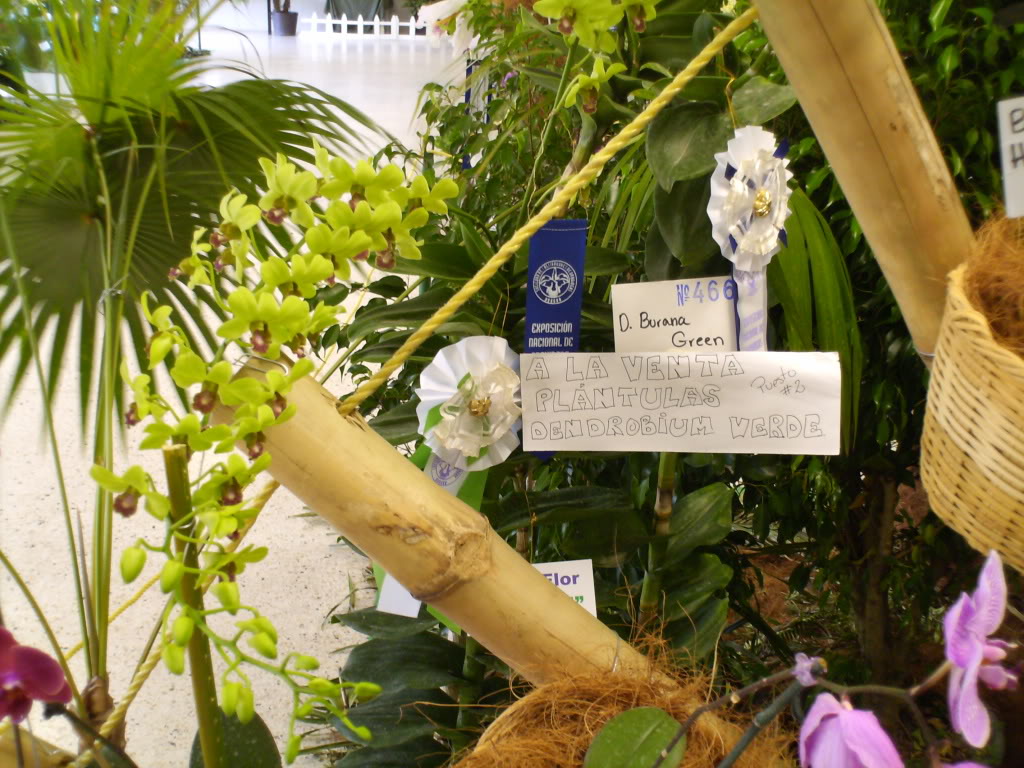 Imagen246.jpg