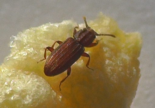 Imagen27c.jpg