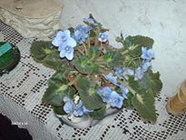 IMAGEN3.JPG