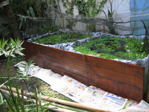 Imagen411.jpg