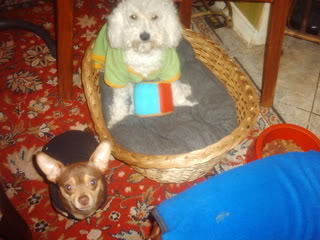 Imagen54292.jpg