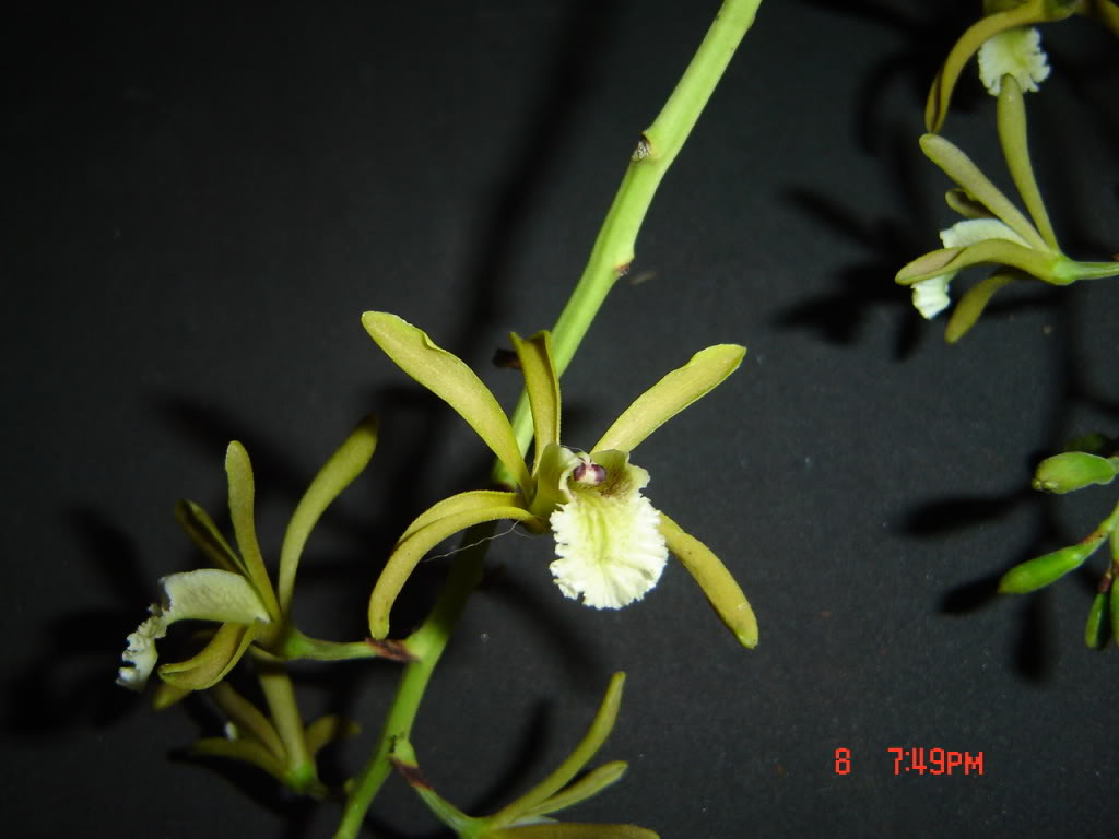 Imagen586.jpg
